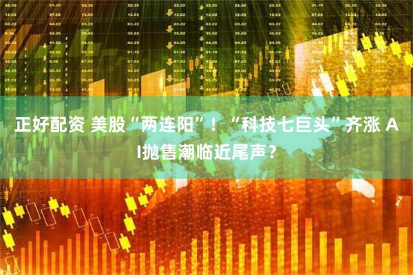 正好配资 美股“两连阳”!“科技七巨头”齐涨 AI抛售潮临近尾声?