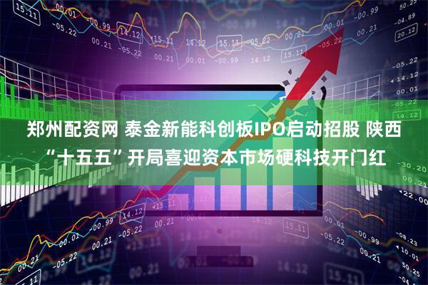 郑州配资网 泰金新能科创板IPO启动招股 陕西“十五五”开局喜迎资本市场硬科技开门红
