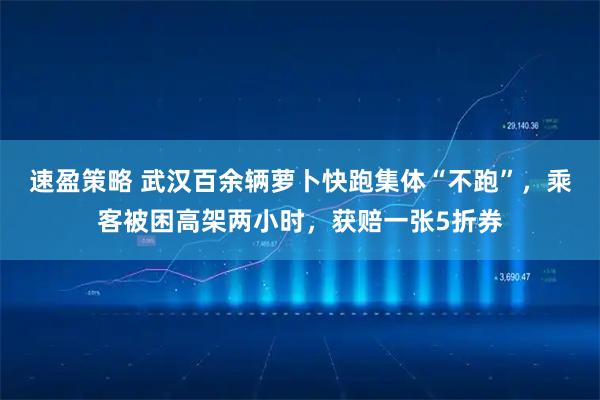 速盈策略 武汉百余辆萝卜快跑集体“不跑”，乘客被困高架两小时，获赔一张5折券