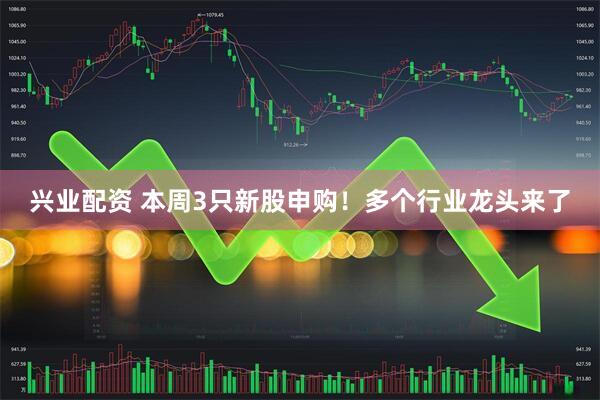 兴业配资 本周3只新股申购！多个行业龙头来了