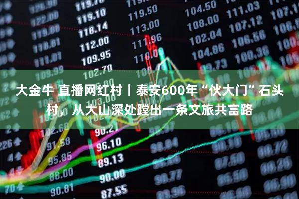 大金牛 直播网红村丨泰安600年“伙大门”石头村，从大山深处蹚出一条文旅共富路
