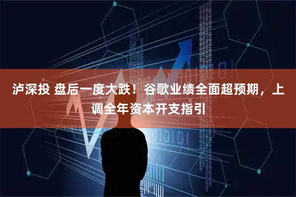 泸深投 盘后一度大跌！谷歌业绩全面超预期，上调全年资本开支指引