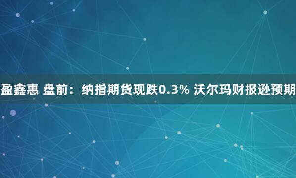 盈鑫惠 盘前：纳指期货现跌0.3% 沃尔玛财报逊预期