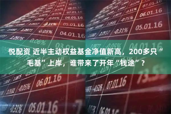 悦配资 近半主动权益基金净值新高,200多只“毛基”上岸,谁带来了开年“钱途”?