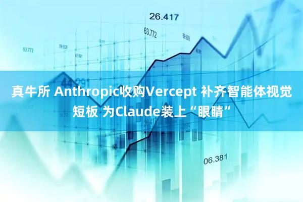 真牛所 Anthropic收购Vercept 补齐智能体视觉短板 为Claude装上“眼睛”