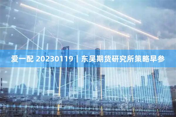 爱一配 20230119｜东吴期货研究所策略早参
