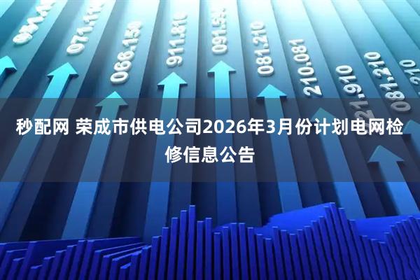 秒配网 荣成市供电公司2026年3月份计划电网检修信息公告