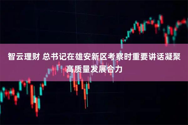 智云理财 总书记在雄安新区考察时重要讲话凝聚高质量发展合力