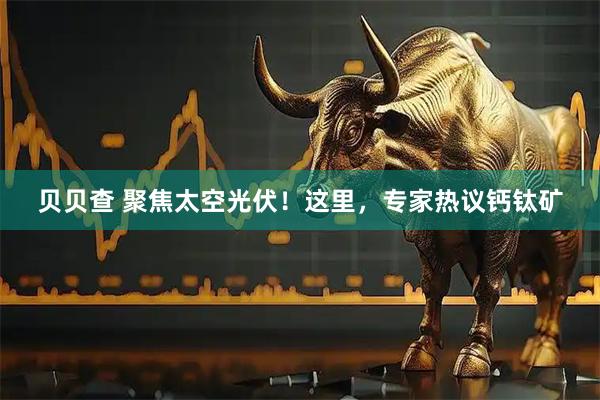 贝贝查 聚焦太空光伏！这里，专家热议钙钛矿
