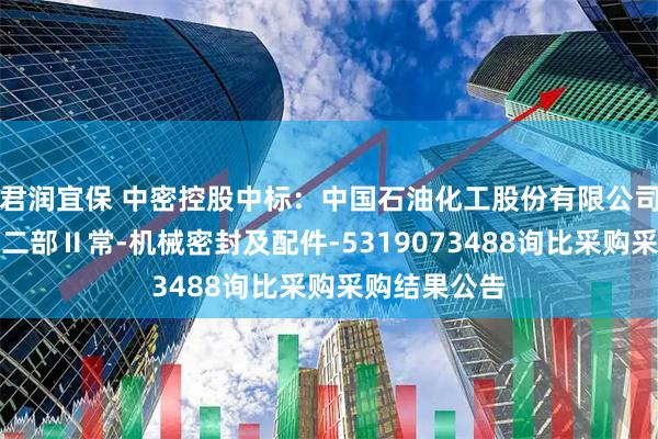 君润宜保 中密控股中标：中国石油化工股份有限公司金陵分公司二部Ⅱ常-机械密封及配件-5319073488询比采购采购结果公告