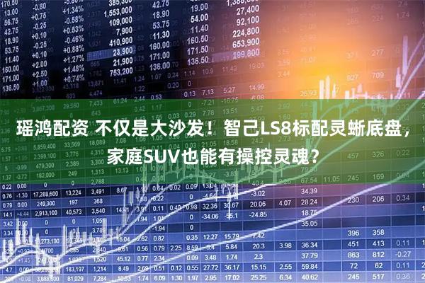 瑶鸿配资 不仅是大沙发！智己LS8标配灵蜥底盘，家庭SUV也能有操控灵魂？